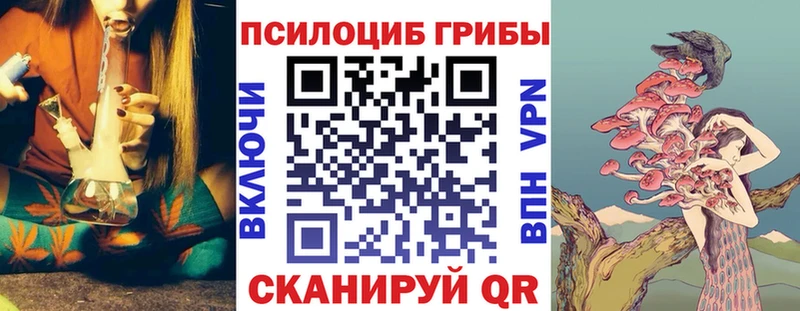даркнет официальный сайт  МЕГА сайт  Галлюциногенные грибы Psilocybe  Высоковск  купить  